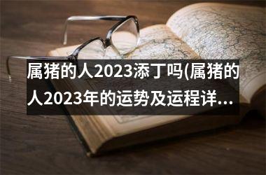 属猪的人2025添丁吗(属猪的人2025年的运势及运程详解)