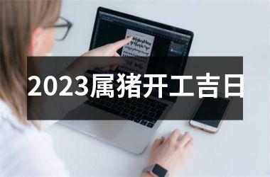 2025属猪开工吉日