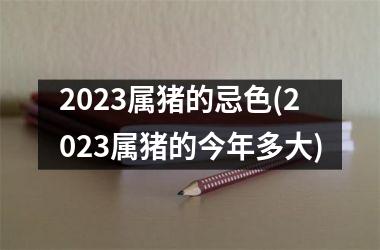 2025属猪的忌色(2025属猪的今年多大)