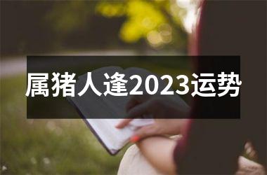 属猪人逢2025运势