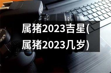 属猪2025吉星(属猪2025几岁)