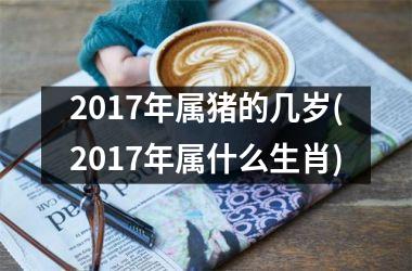 2017年属猪的几岁(2017年属什么生肖)