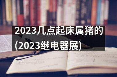 2025几点起床属猪的(2025继电器展)