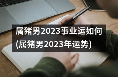 属猪男2025事业运如何(属猪男2025年运势)