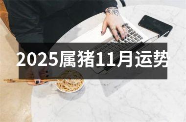 2025属猪11月运势