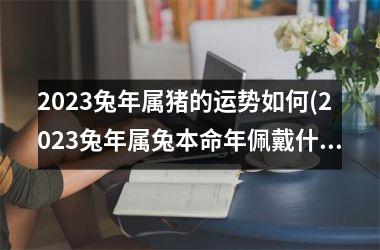 2025兔年属猪的运势如何(2025兔年属兔本命年佩戴什么好)