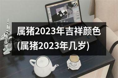 属猪2025年吉祥颜色(属猪2025年几岁)