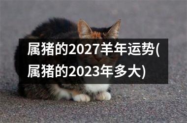 属猪的2027羊年运势(属猪的2023年多大)
