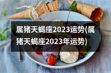 属猪天蝎座2025运势(属猪天蝎座2025年运势)