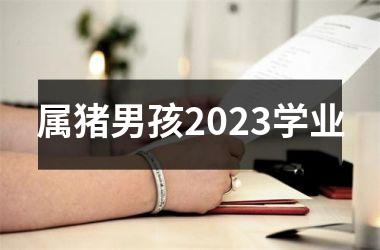 属猪男孩2025学业