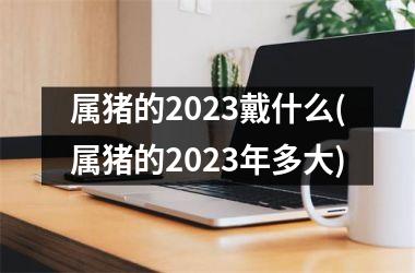 属猪的2025戴什么(属猪的2025年多大)