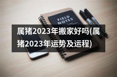 属猪2025年搬家好吗(属猪2025年运势及运程)