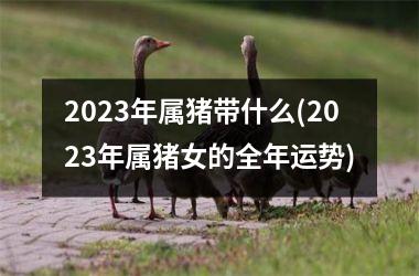 2025年属猪带什么(2025年属猪女的全年运势)