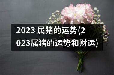 2025 属猪的运势(2025属猪的运势和财运)