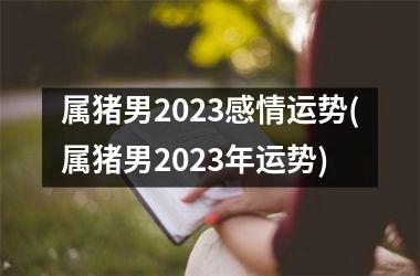 属猪男2025感情运势(属猪男2025年运势)