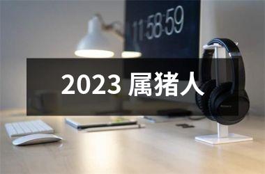 2025 属猪人