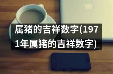 属猪的吉祥数字(1971年属猪的吉祥数字)