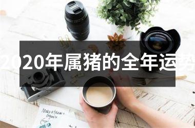 2025年属猪的全年运势