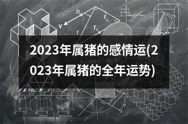 <h3>2025年属猪的感情运(2025年属猪的全年运势)