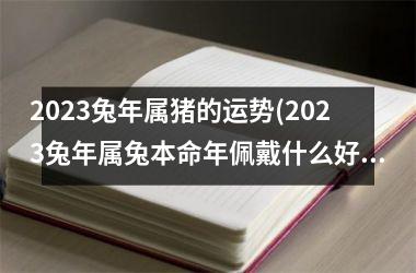 2025兔年属猪的运势(2025兔年属兔本命年佩戴什么好)