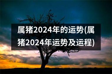 属猪2024年的运势(属猪2024年运势及运程)