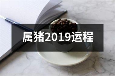 属猪2019运程