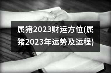 属猪2025财运方位(属猪2025年运势及运程)