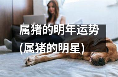 属猪的明年运势(属猪的明星)