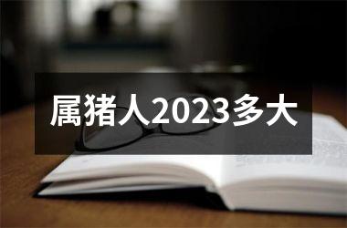 属猪人2025多大