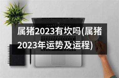 属猪2025有坎吗(属猪2025年运势及运程)