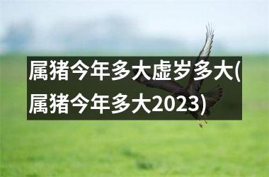 属猪今年多大虚岁多大(属猪今年多大2025)