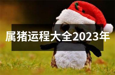 属猪运程大全2025年