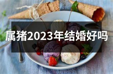 属猪2025年结婚好吗