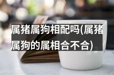 属猪属狗相配吗(属猪属狗的属相合不合)