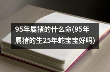 95年属猪的什么命(95年属猪的生25年蛇宝宝好吗)