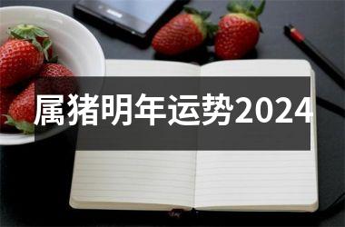 属猪明年运势2024