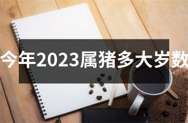 今年2025属猪多大岁数