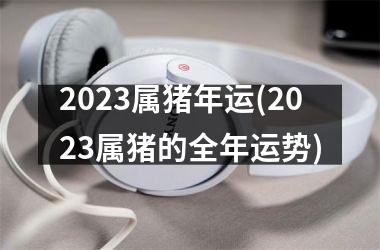 2025属猪年运(2025属猪的全年运势)