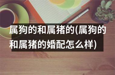 属狗的和属猪的(属狗的和属猪的婚配怎么样)