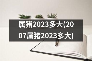 属猪2025多大(2007属猪2025多大)