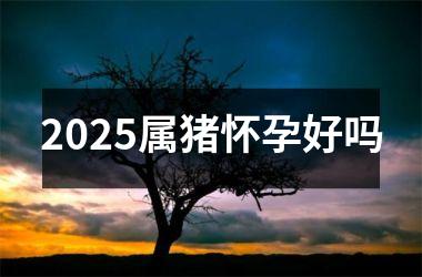 2025属猪怀孕好吗