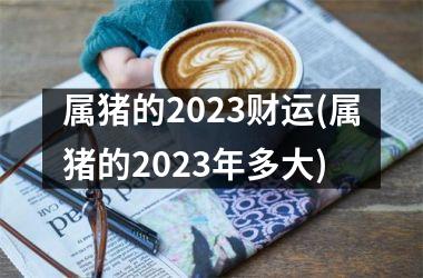 属猪的2025财运(属猪的2025年多大)