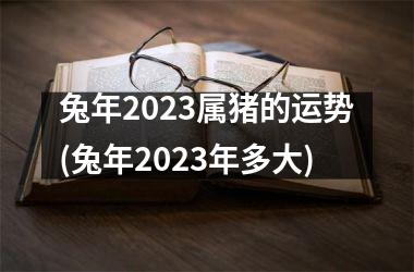 兔年2025属猪的运势(兔年2025年多大)