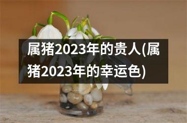 属猪2025年的贵人(属猪2025年的幸运色)