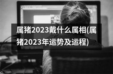 属猪2025戴什么属相(属猪2025年运势及运程)