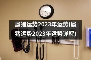 属猪运势2025年运势(属猪运势2025年运势详解)