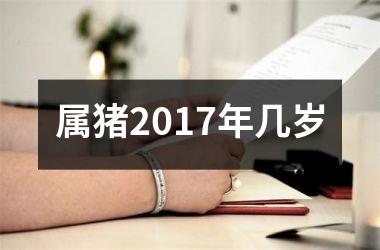 属猪2017年几岁