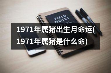 1971年属猪出生月命运(1971年属猪是什么命)