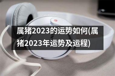 属猪2025的运势如何(属猪2025年运势及运程)