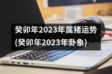 癸卯年2025年属猪运势(癸卯年2025年卦象)